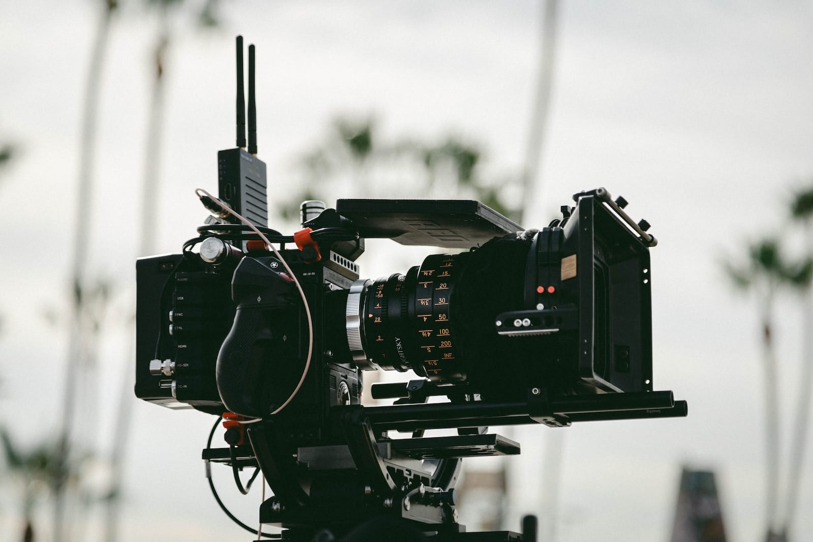 Nova Films Team